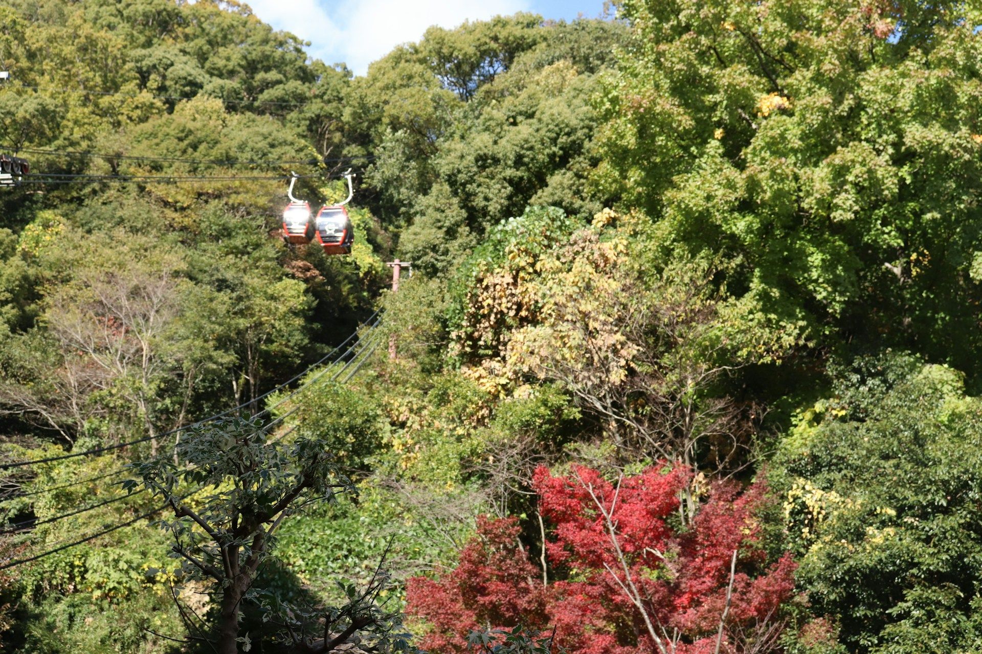 Berget Rokko